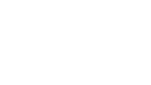 Logo-service-loewen in weiß